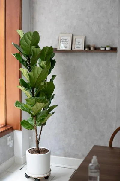 Pandora House – 写真 6
