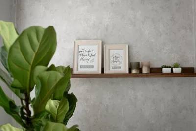 Pandora House – 写真 10